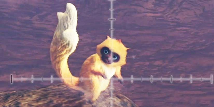 The Golden Macaque players need to catch for the Golden Gleam Achievement