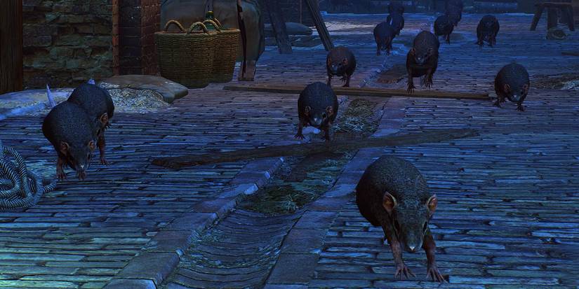 the-witcher-rats