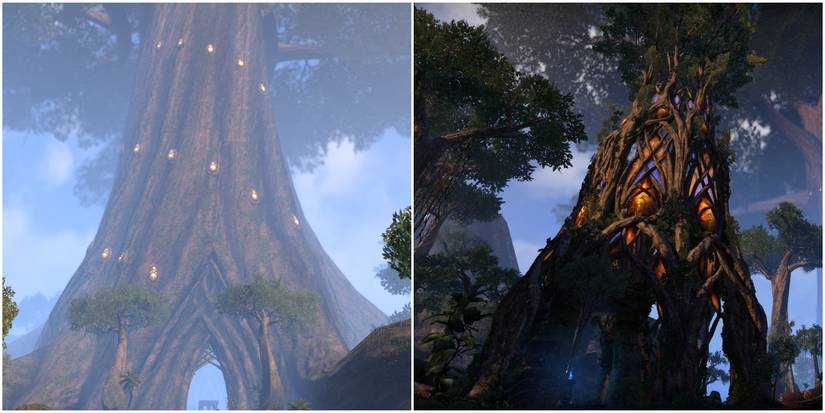 Elder Scrolls Graht Oak