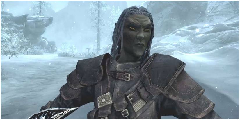 Elder Scrolls Summerset Shadow