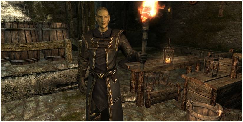 Elder Scrolls Thalmor with Torch