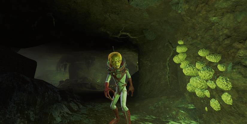 fallout zetan in cave