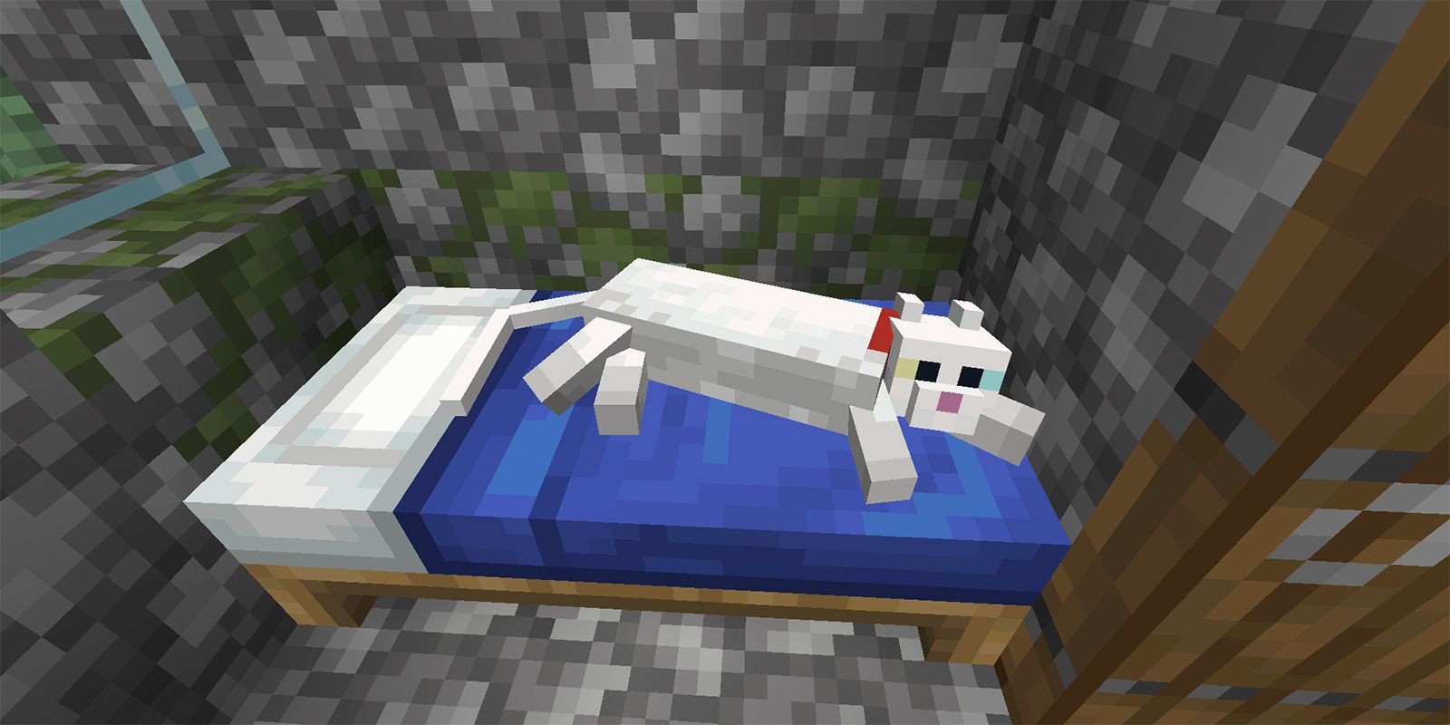 Como domesticar un gato en minecraft