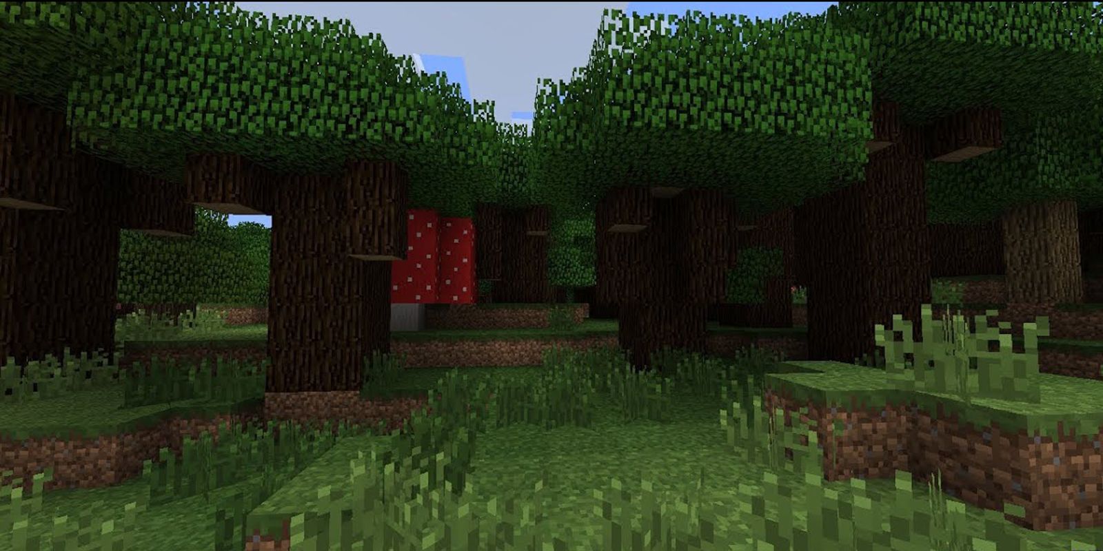 Minecraft Dark Forest
