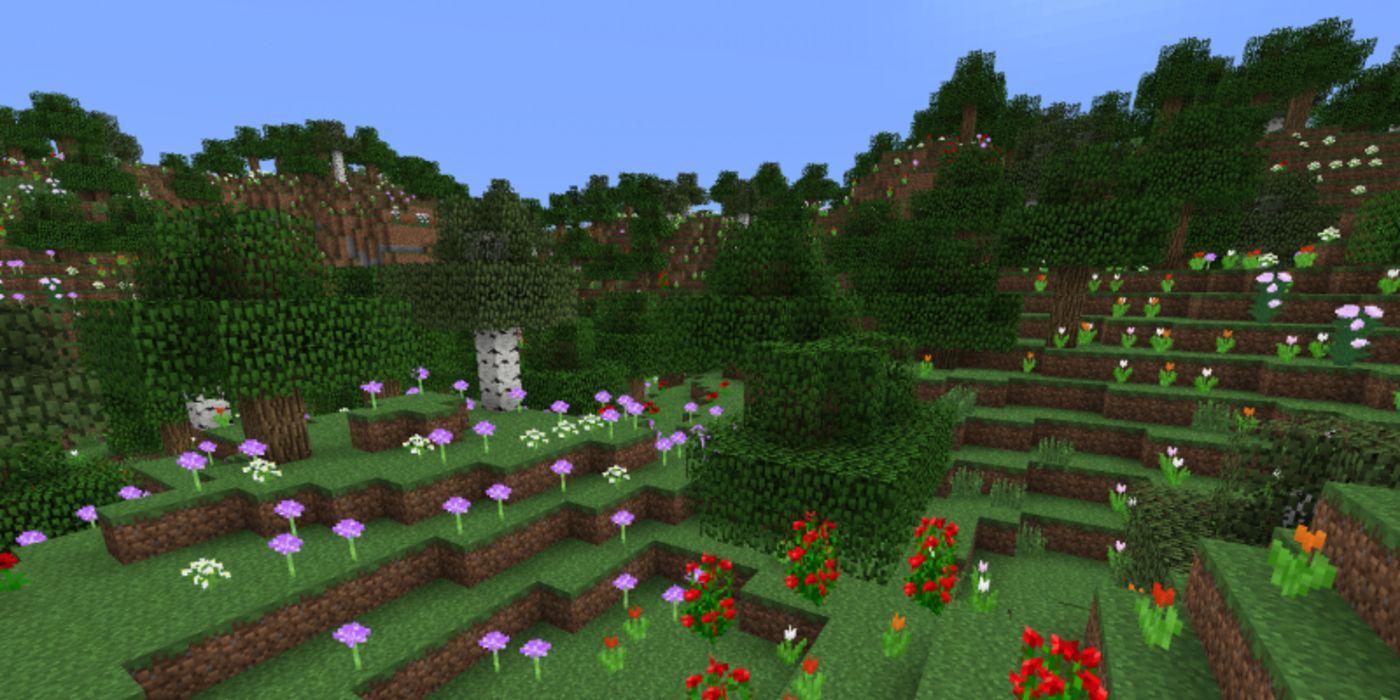 Minecraft Flower Forest
