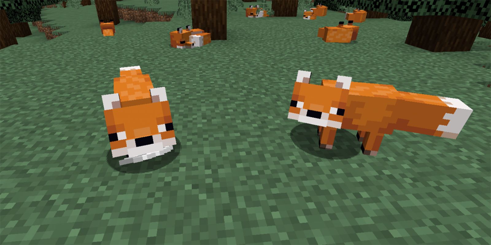 minecraft tame fox
