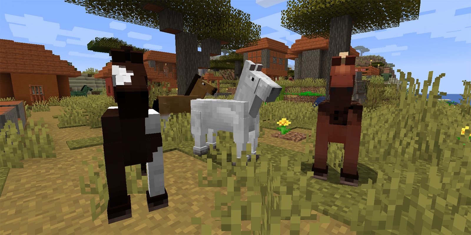 Minecraft Horses