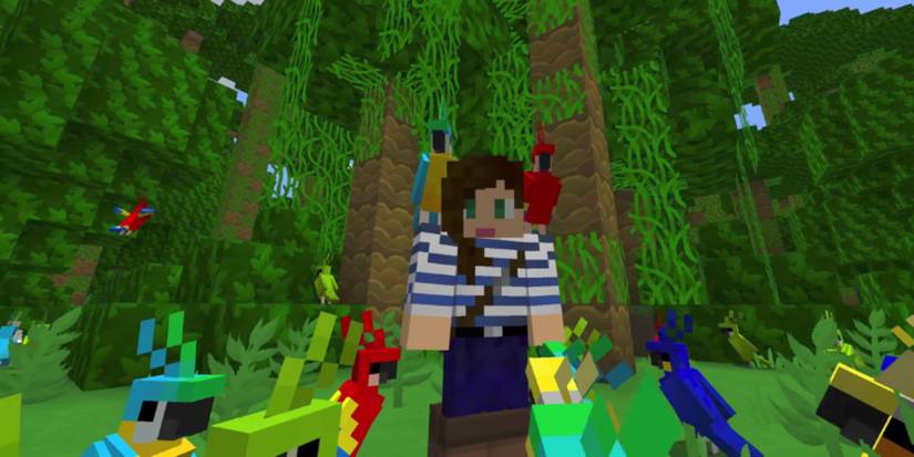 Minecraft Parrots