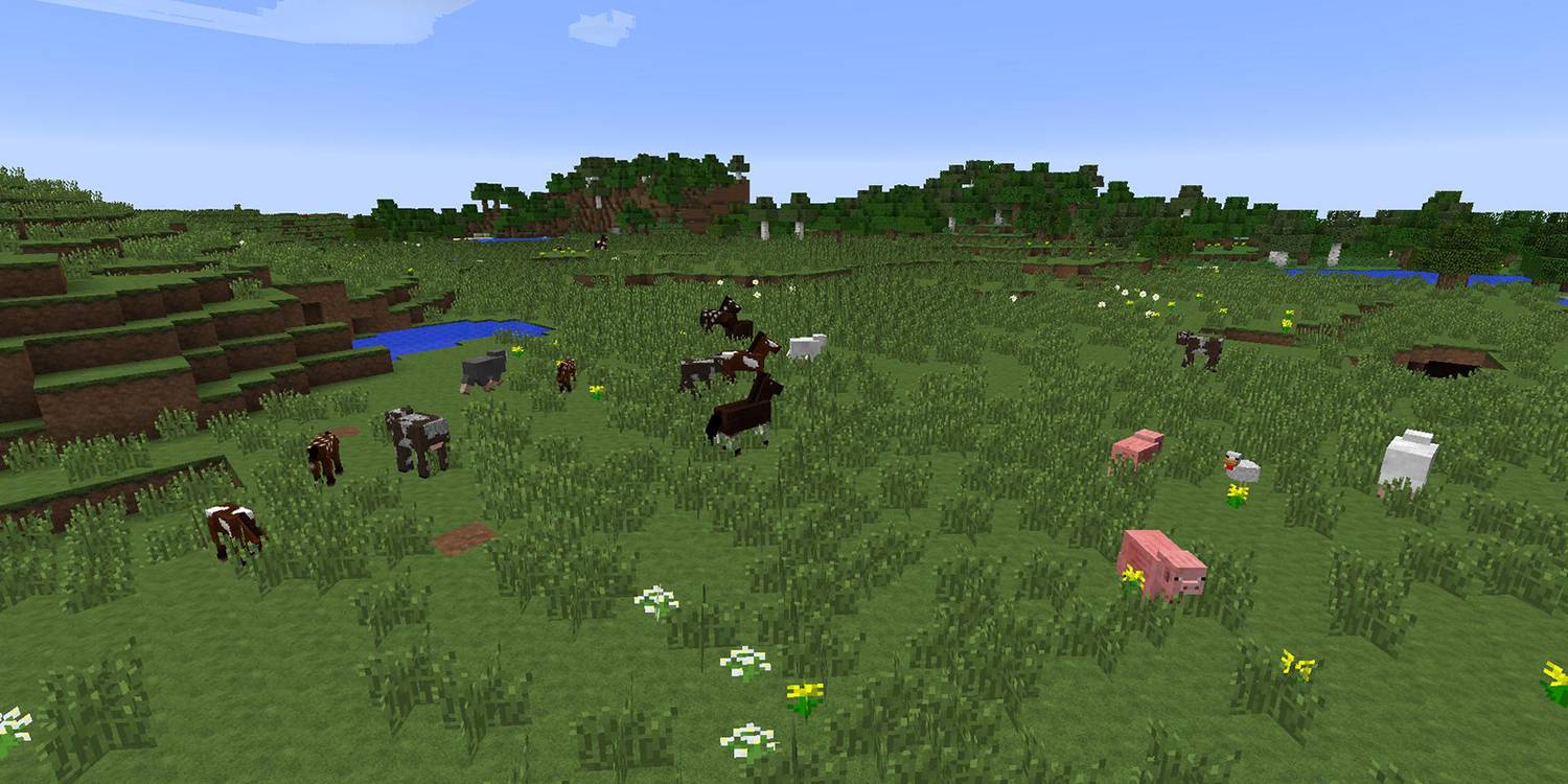 Minecraft-Plains.jpg (1500×750)