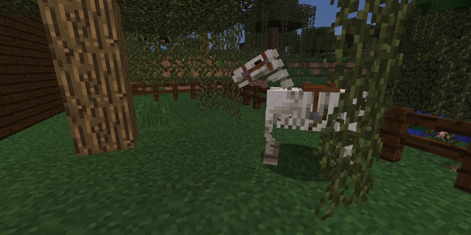 Skeleton Horses