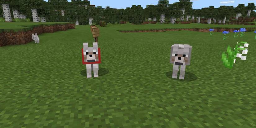 Minecraft Wolves