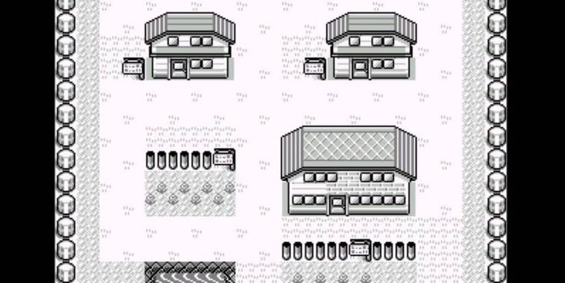 Pallet Town in Pokemon Red Blue