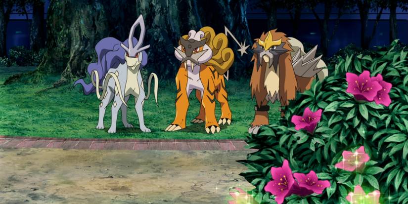 Pokemon Legendary Beasts Dogs