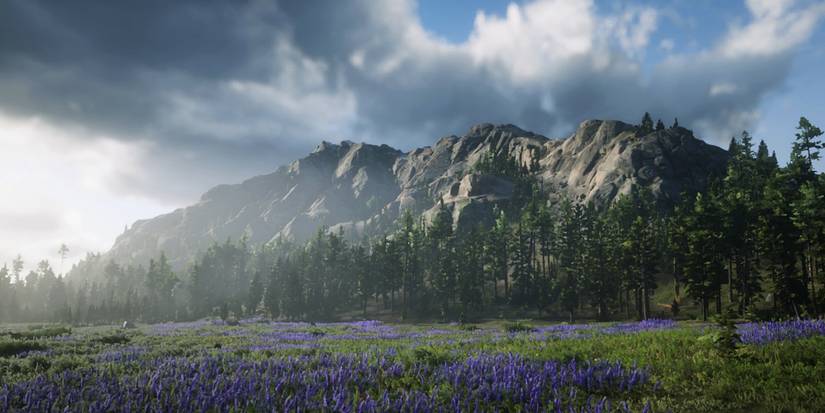 RED DEAD REDEMPTION 2 - Mount Shann