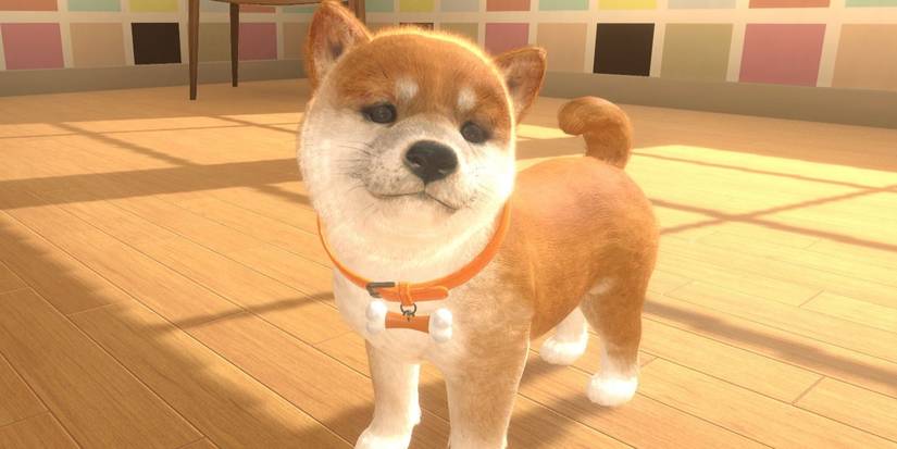 Shiba Inu from Nintendogs (2)