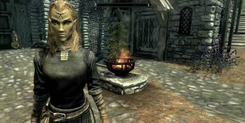 Skyrim Altmer