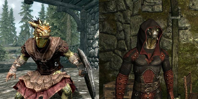 Alignment For Skyrim Races Skyrim: Which Race Should You Pick Based On Your D&D Moral Alignment?