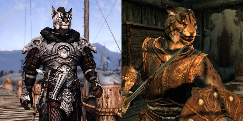 Skyrim Khajiit