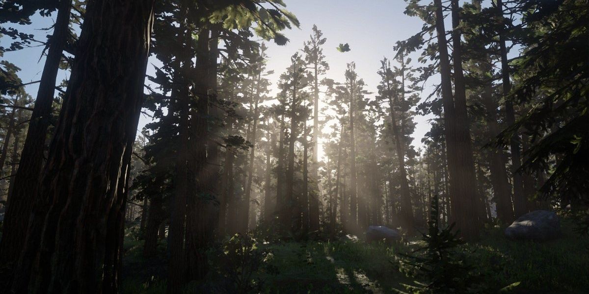 RED DEAD REDEMPTION 2 - Tall Trees