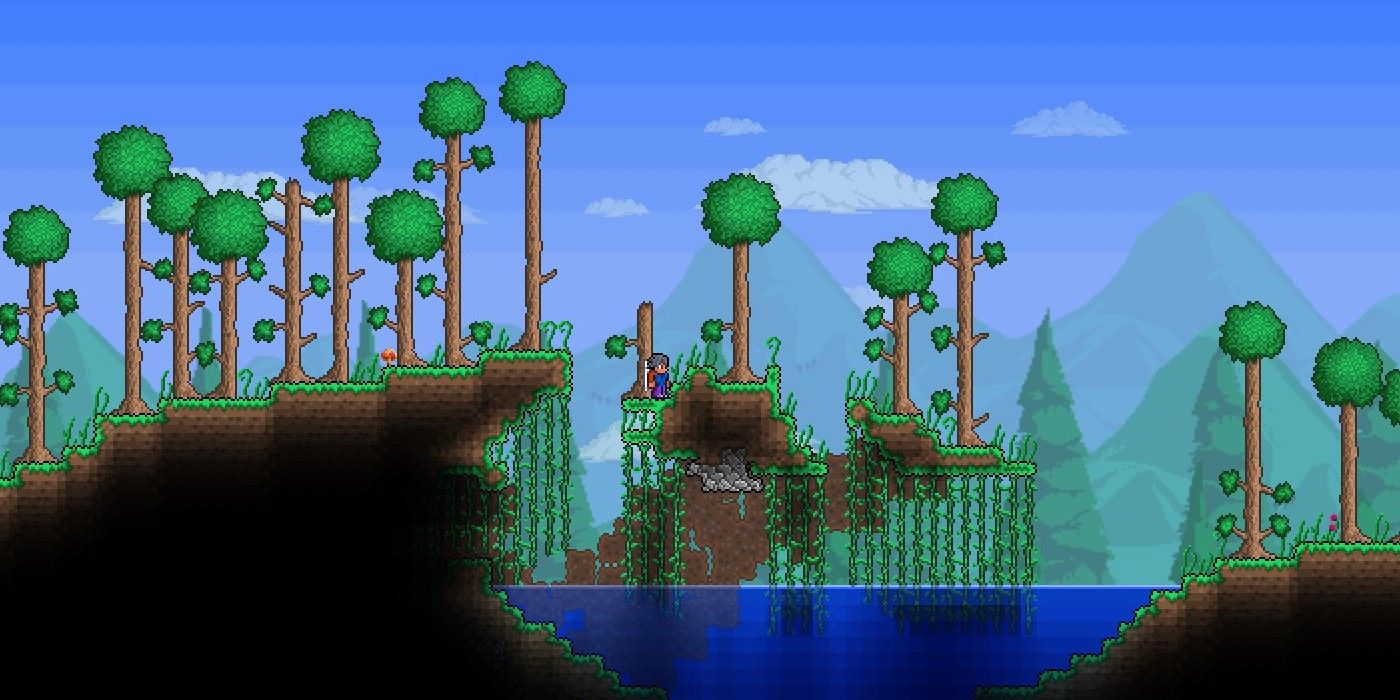 Forest in Terraria