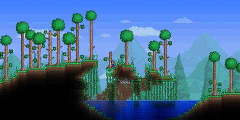 Forest in Terraria