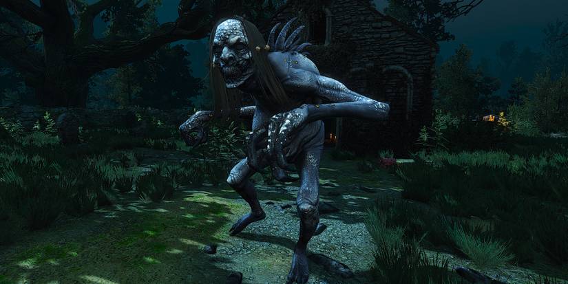 The Witcher 3 Grave Hag