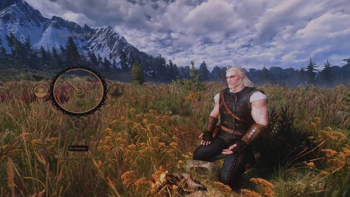The Witcher 3 Meditation