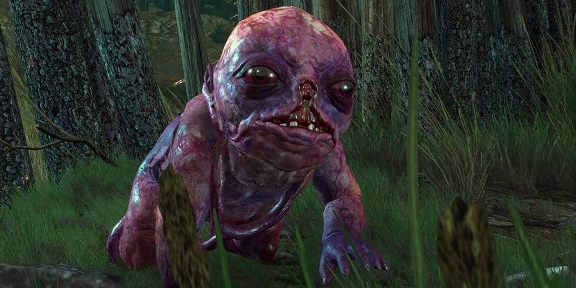 Witcher 3 Botchling