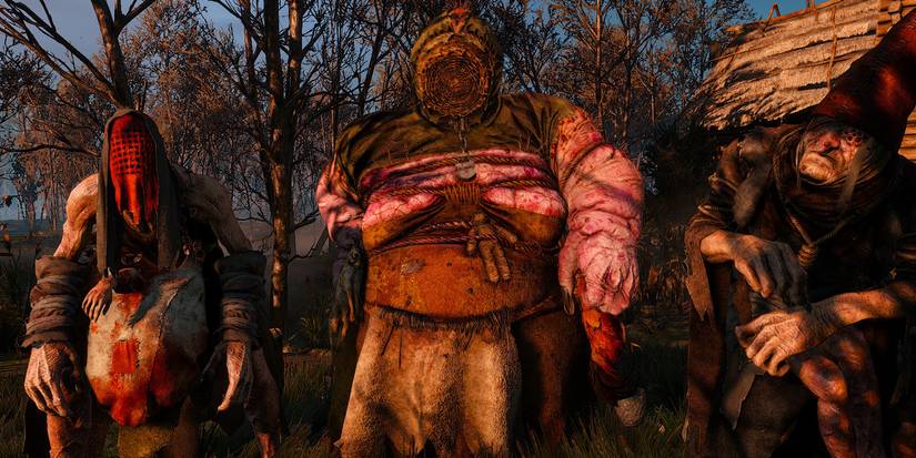 Witcher 3 Crones