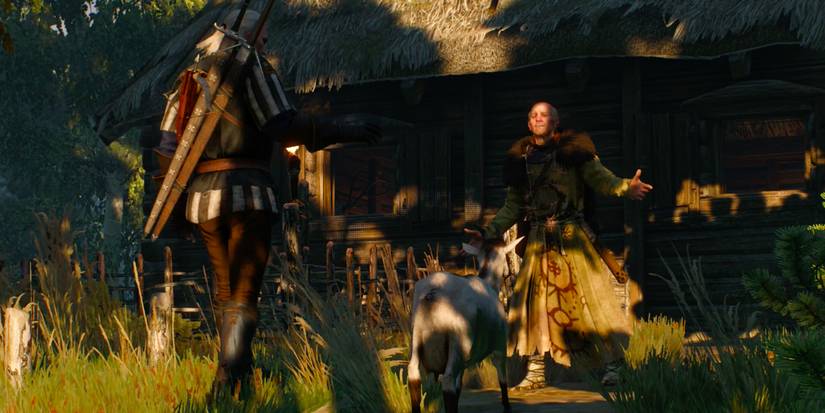 Witcher 3 Princess In Distress