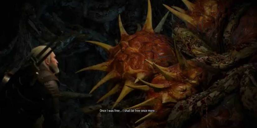 Witcher 3 Whispering Hillock