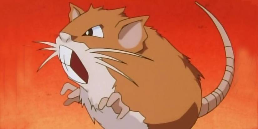 ashs first pokemon ranked raticate 10