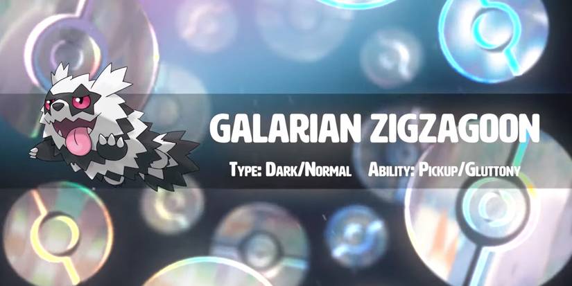 pokemon sword shield zigzagoon galar