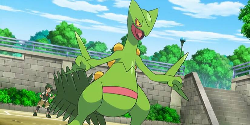 A Sceptile Pokemon