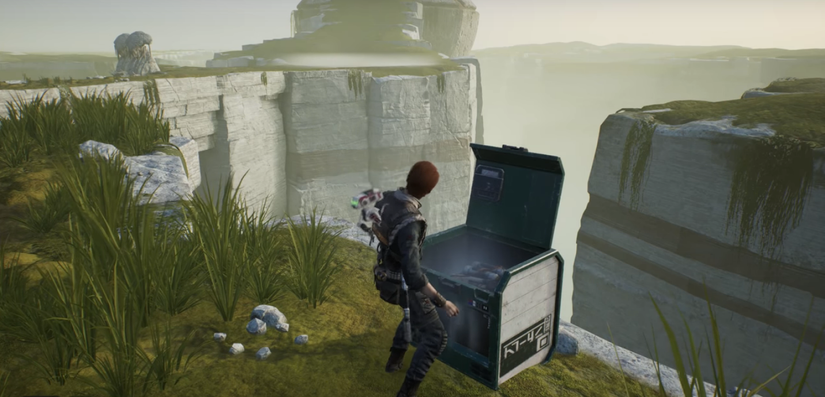 Fallen Order Chest at the top of the grass ladder