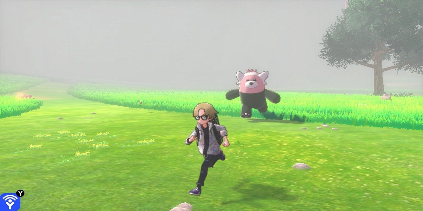 pokemon sword shield wild area bewear