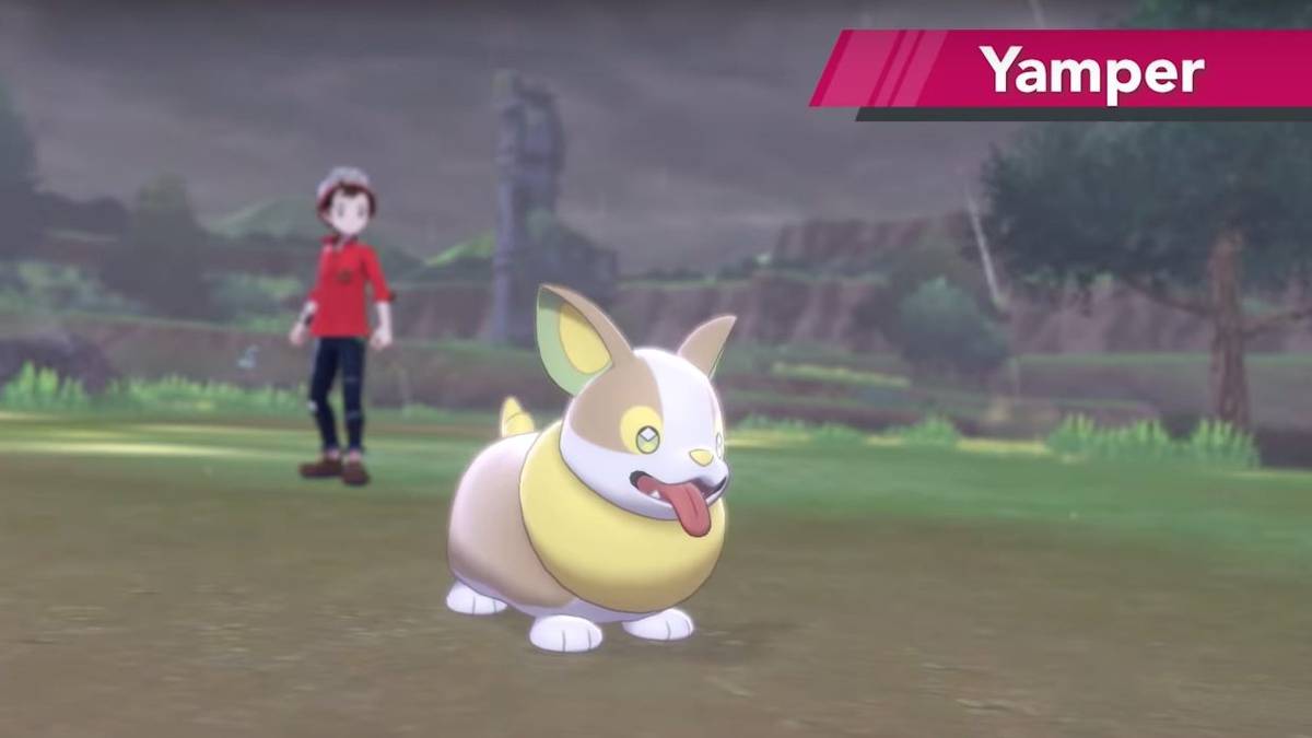 Pokemon Sword and Shield Yamper