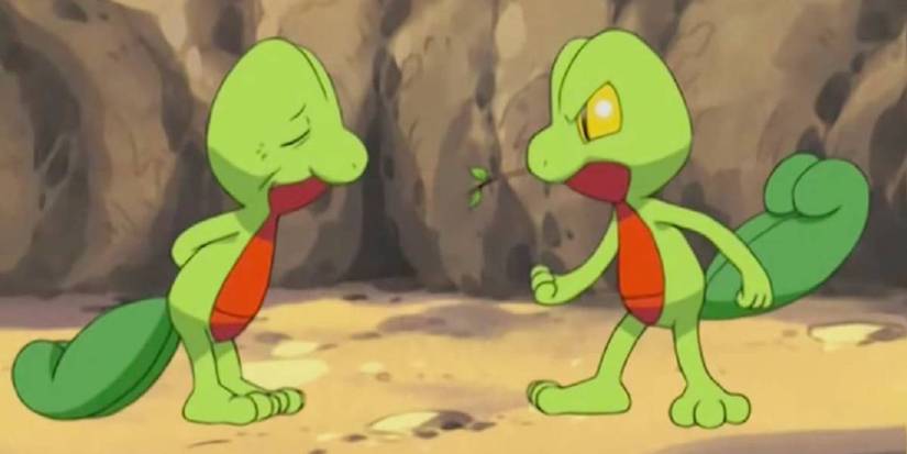Pokemon Treecko and Treecko