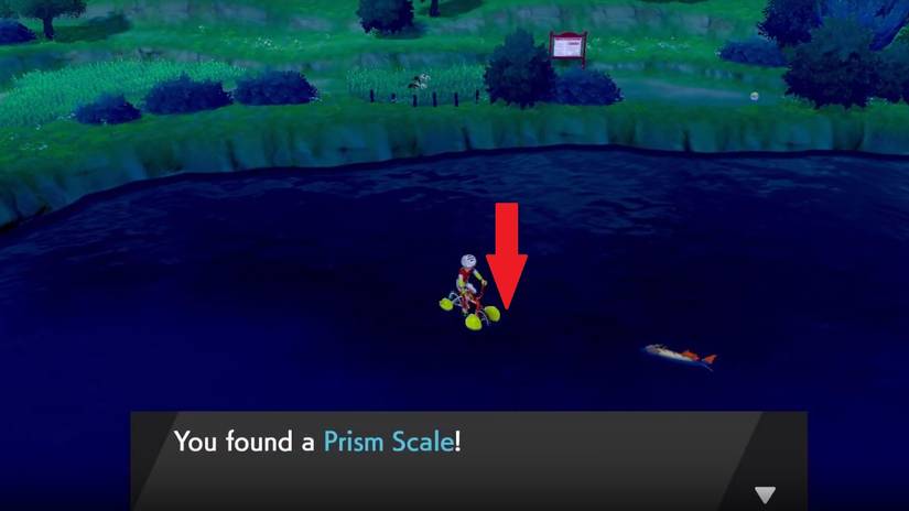 Pokemon-sword-and-shield-prism-scale-1