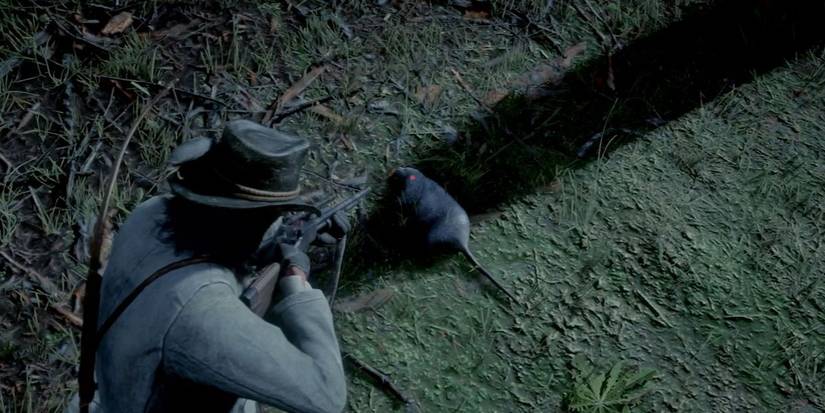 Possum playing dead in RDR2