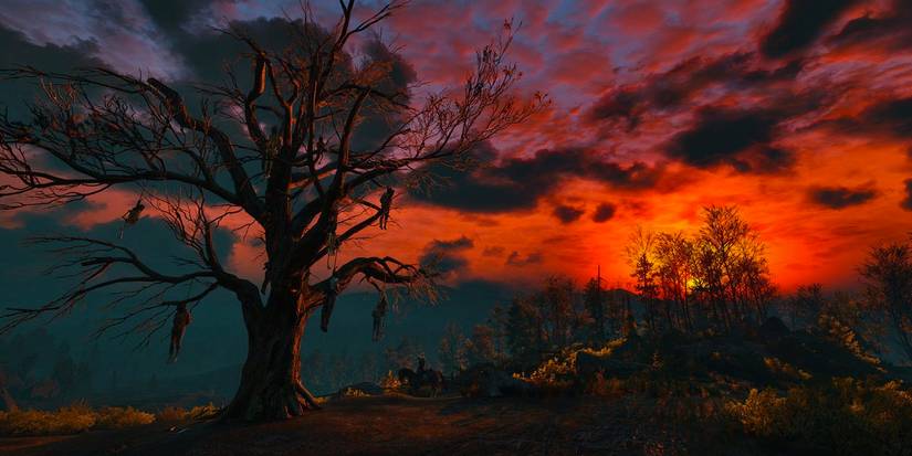 Hanged Man's Tree in The Witcher 3
