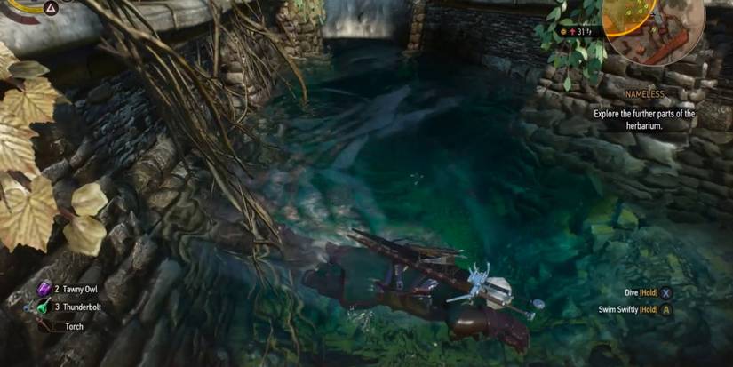 Witcher 3 Underwater Caves
