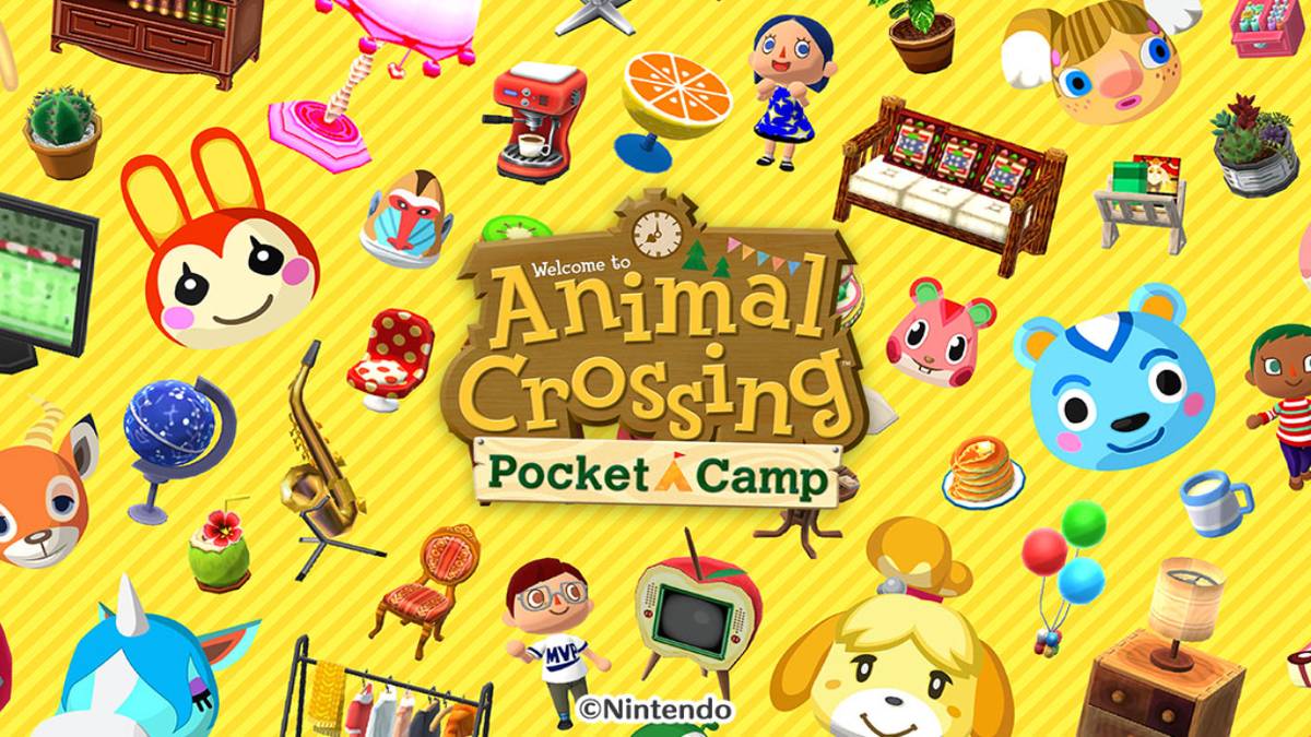 pocket camp