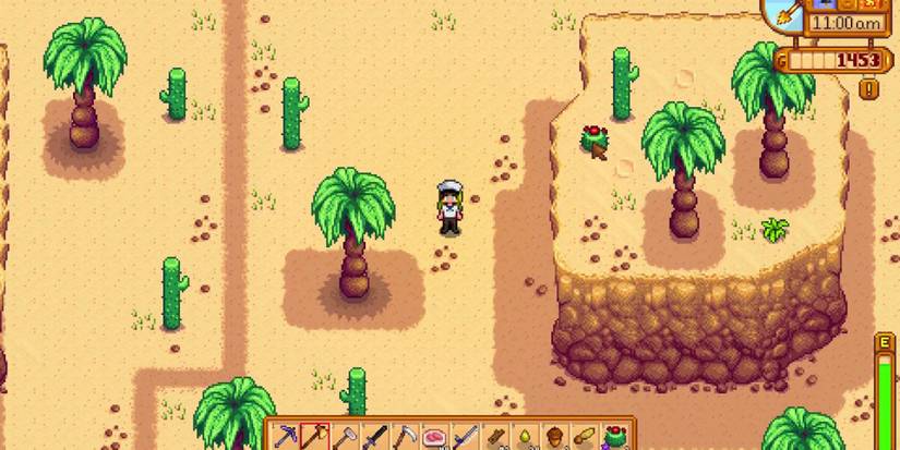 coconuts and cactuses go in machines