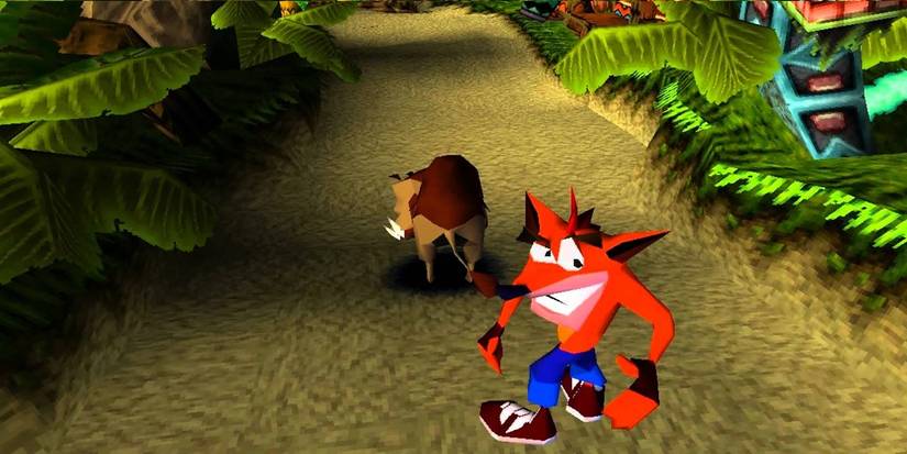 crash bandicoot