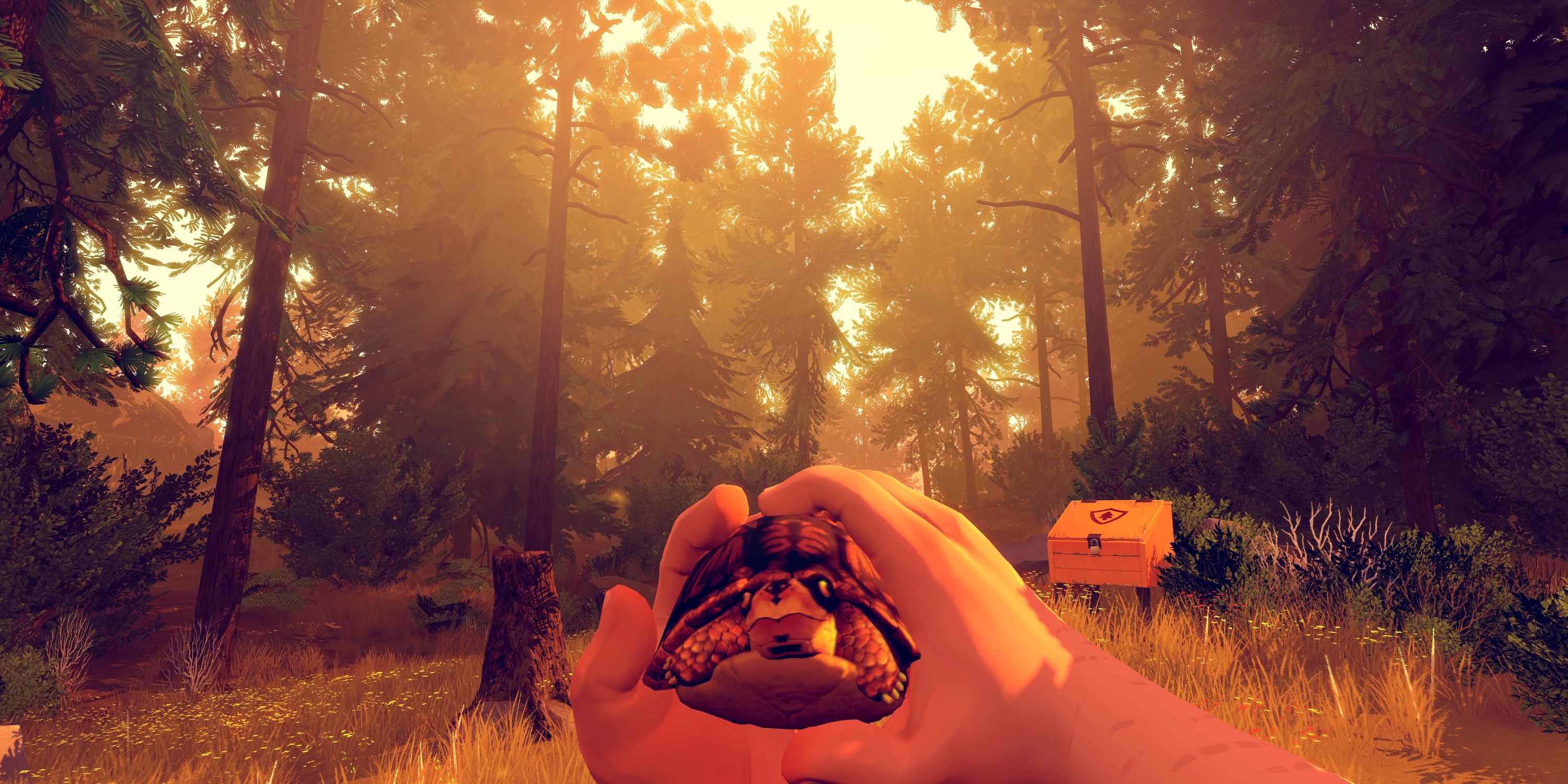 Henry holding a turtle in his hands in Firewatch
