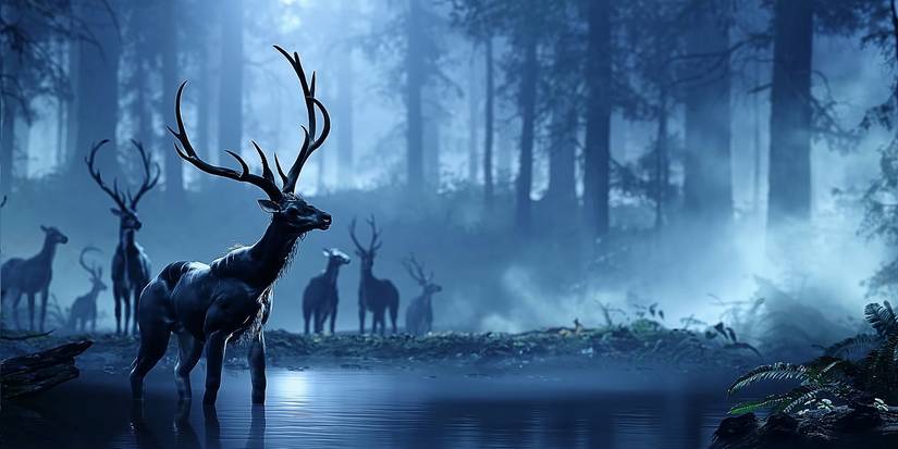 halo infinite wildlife