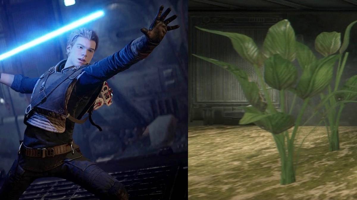 jedi fallen order seed guide