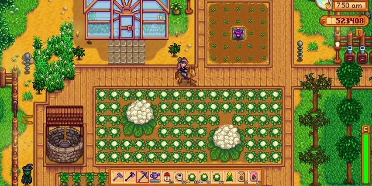 Stardew Valley Iridium Sprinkler Layout
