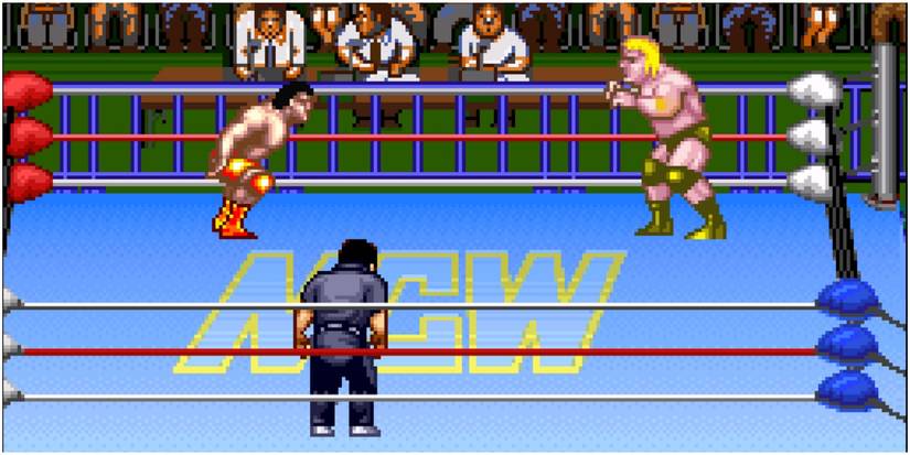 Wrestling Razor Ramon 4 Best Wrestling Games On The SNES (& The 4 Worst)